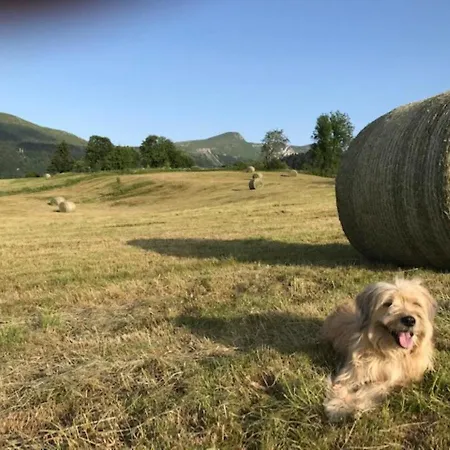 شقة T2 Avec Balcon Et Parking Privatif Au Mont-dore - Fr-1-608-212 *