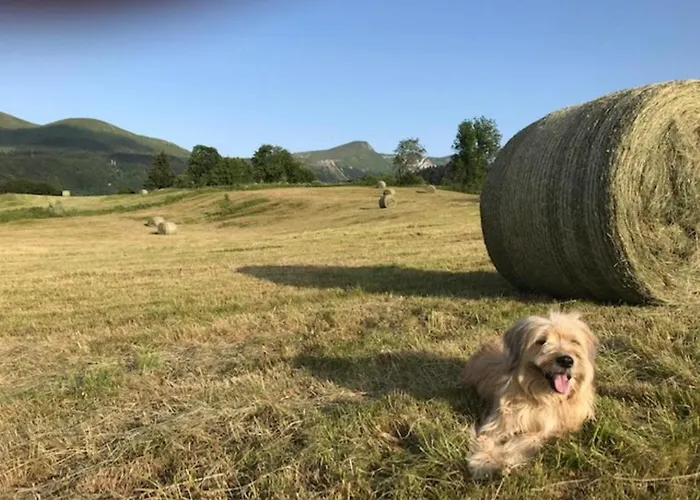 Apartment T2 Avec Balcon Et Parking Privatif Au Mont-dore - Fr-1-608-212 *