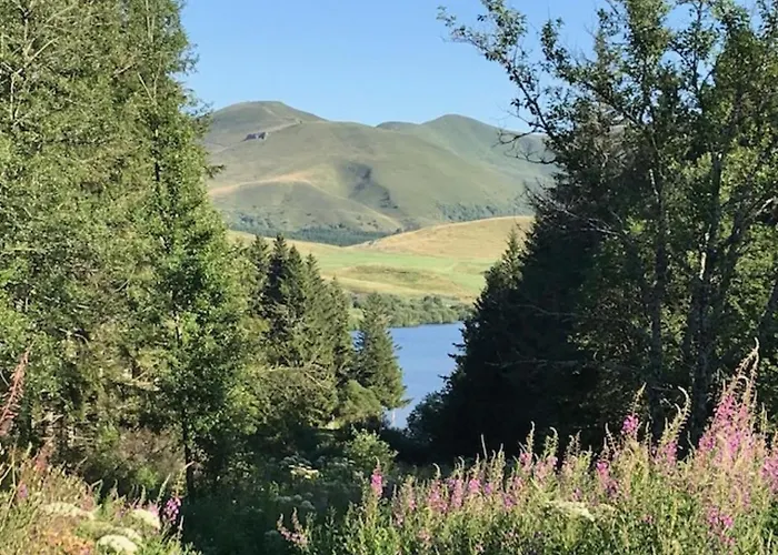 Apartment T2 Avec Balcon Et Parking Privatif Au Mont-dore - Fr-1-608-212