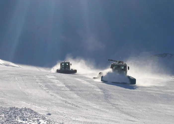 T2 Avec Balcon Et Parking Privatif Au Mont-dore - Fr-1-608-212 Apartment *